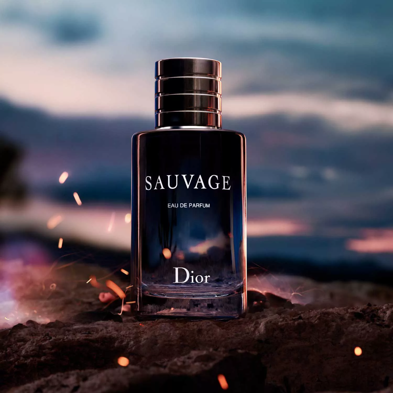 Dior Sauvage 1.1 EDP + Obs